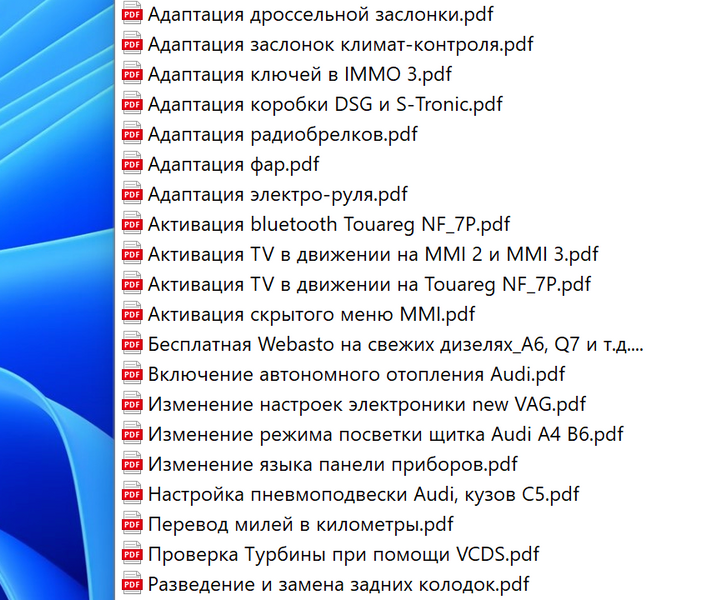 Видеокурс VCDS VAG COM для начинающих + 20 практических секретных приемов Дмитрий Краснощеков р009946 фото
