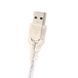 VAG Tacho USB 5.0. Пристрій для коригування одометрів і роботи з іммобілайзером 00305 фото 5