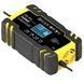 Зарядное устройство Foxsur FBC122408D 12V 8A / 24V 4A с десульфатацией 00231 фото 4
